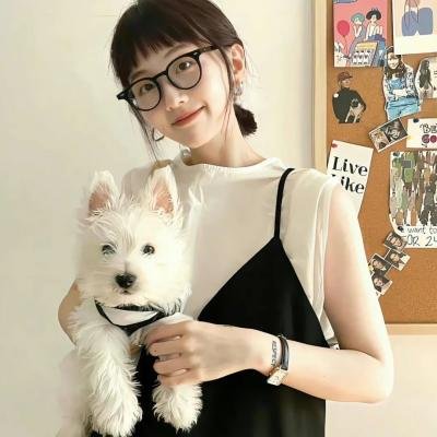 鲁瓦西之前的最后出口